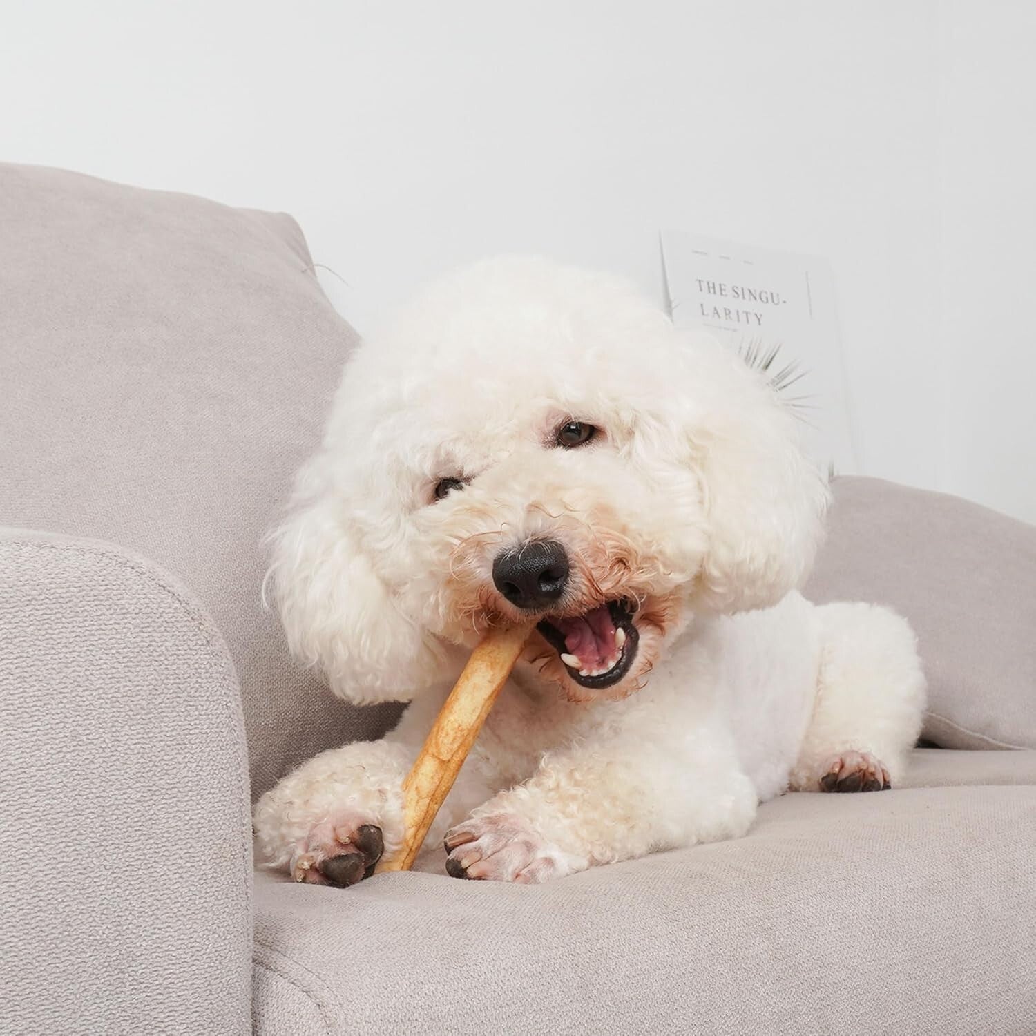 Dental Health Rawhide Rolls for Small Dogs - 60 Count Chicken Flavor Treats