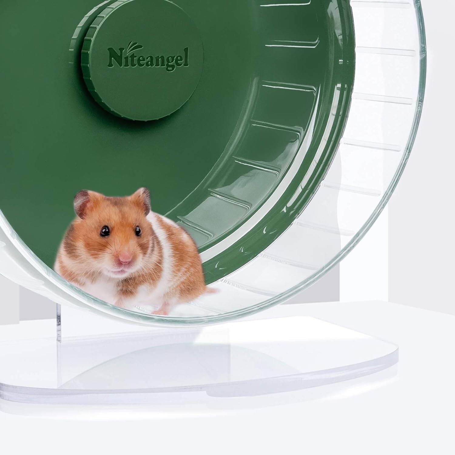 Durable Dark Green Hamster Exercise Wheel - Quiet Spinner with Adjustable Stand