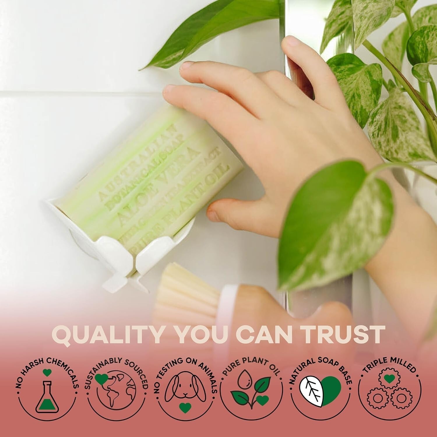 Eco-Friendly Aloe Vera & Green Tea Soap Bars - 8 Pack, Enriched with Shea Butter