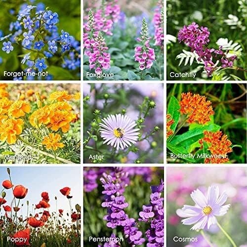 23 Variety Bulk Wildflower Seeds - Create Your Butterfly Garden - 1 lb Pack