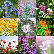 Load image into Gallery viewer, 23 Variety Bulk Wildflower Seeds - Create Your Butterfly Garden - 1 lb Pack