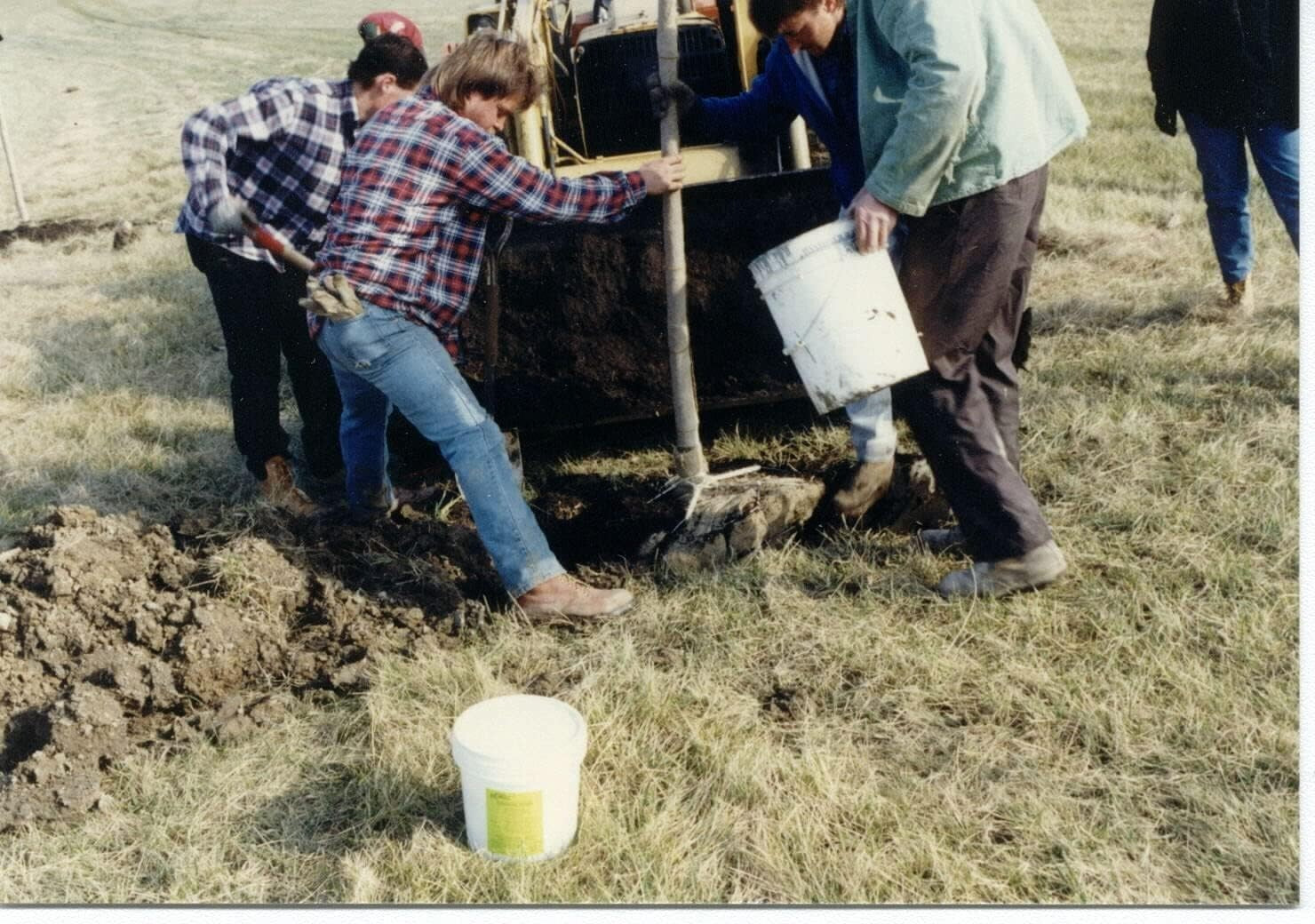 Indoor & Outdoor Plant Care Solution - 3 lb Granules Reduce Watering by 50%