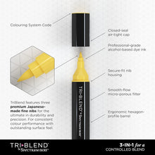Load image into Gallery viewer, Professional 24-Piece TriBlend Alcohol Markers for Ultimate Color Blending