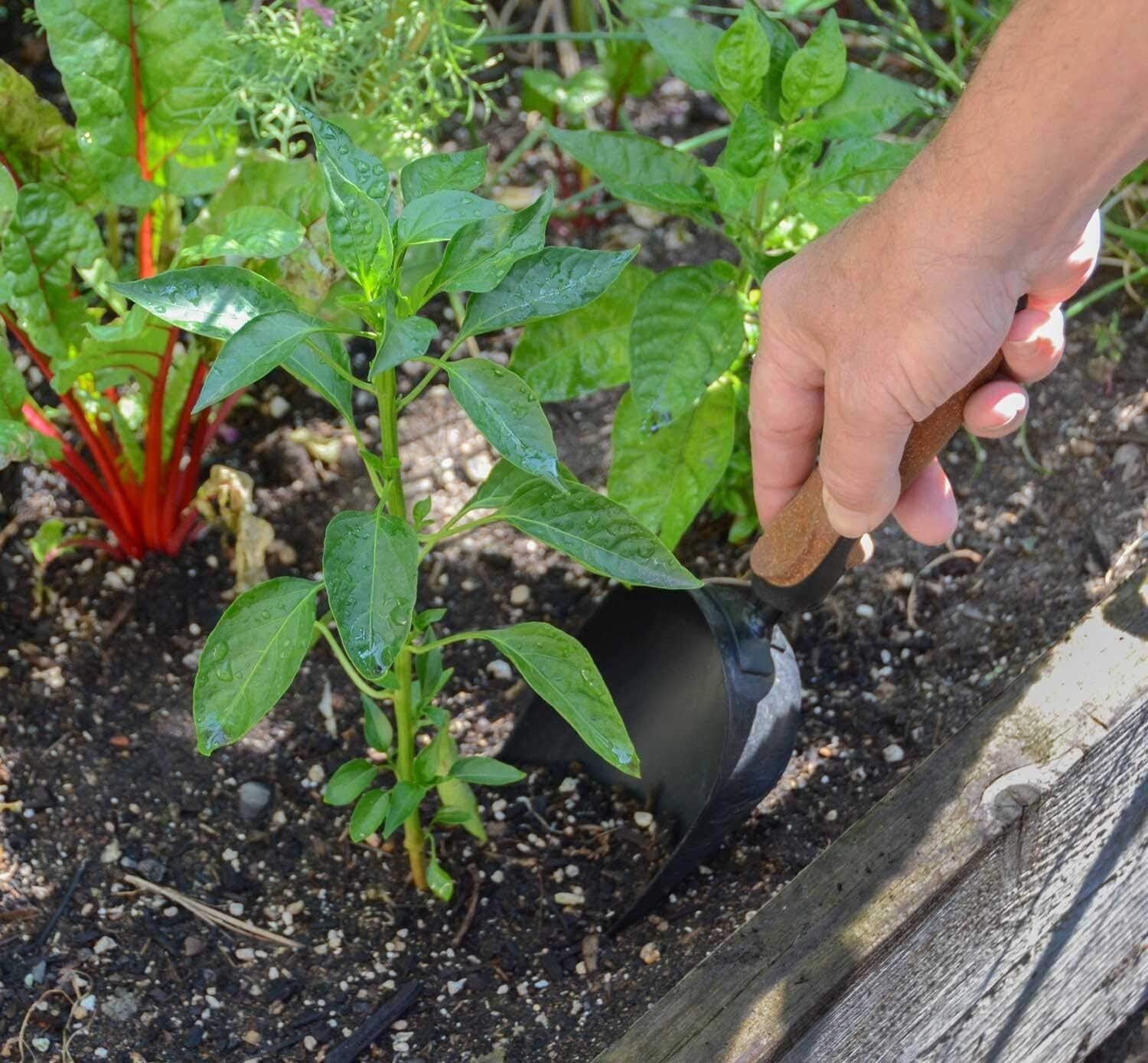 Complete 5-Piece Gardening Tool Kit: Heavy-Duty Steel with Comfort Cork Handles