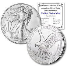 Load image into Gallery viewer, 10 x 1 oz American Eagle Silver Bullion Coins in Original Tube - 2024 Edition