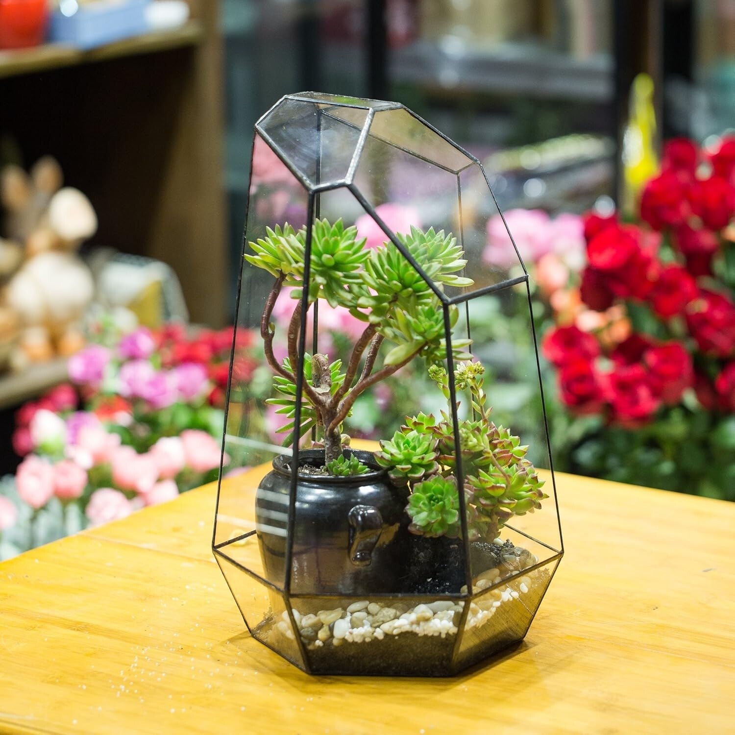 Eco-Friendly Large 16-Inch Terrarium - Irregular Shape for Unique Plant Displays