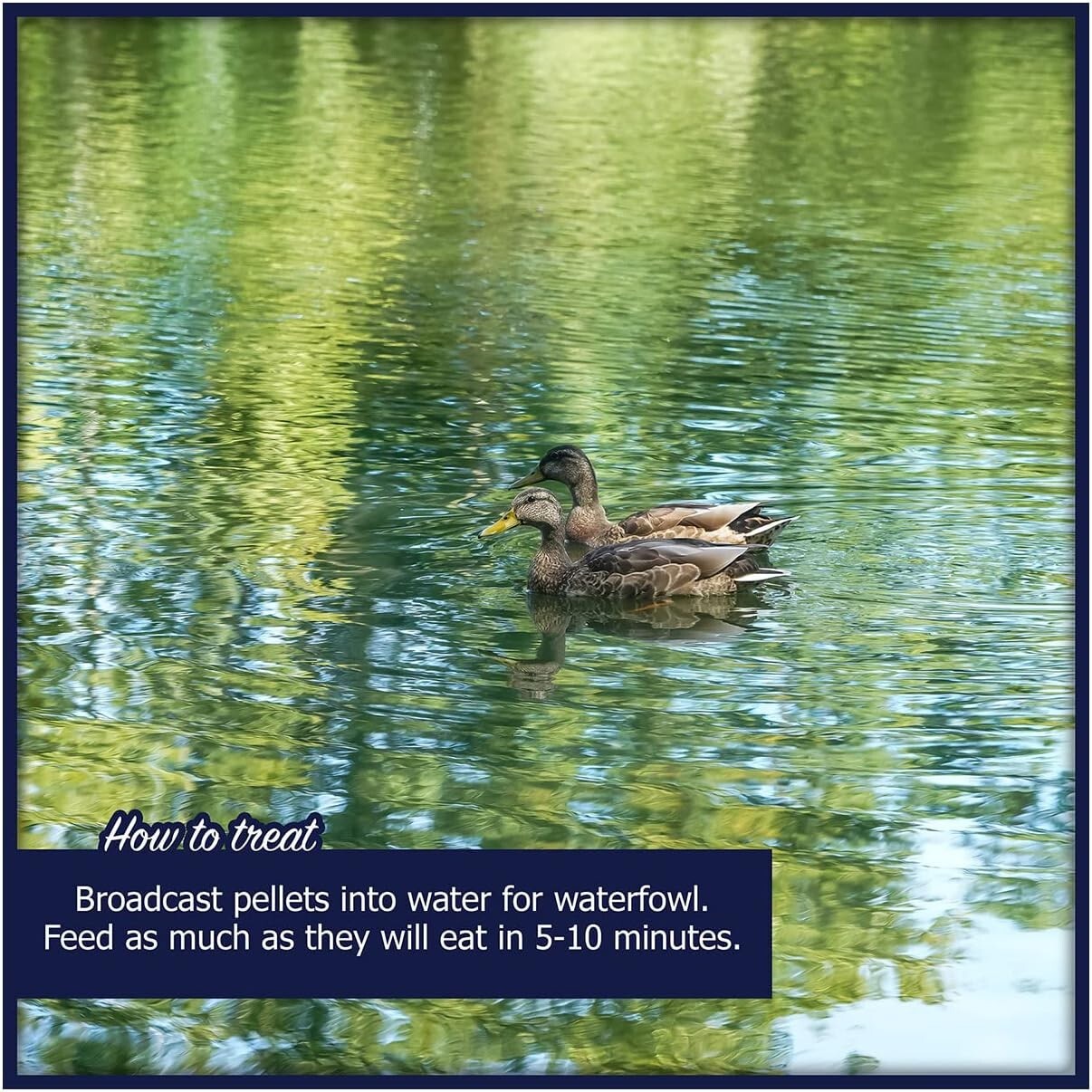 20 lb Premium Floating Pellets for Ducks, Swans & Geese - Seafood Flavor