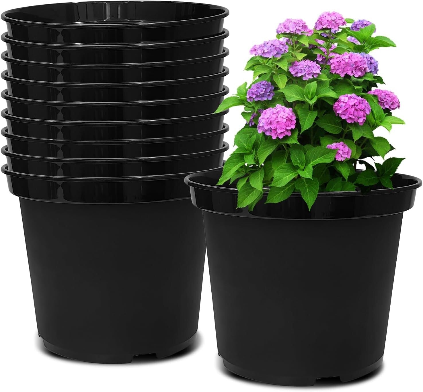 Durable Black 10-Inch Plant Pots with Drainage Holes – 10 Pack for Garden Lovers