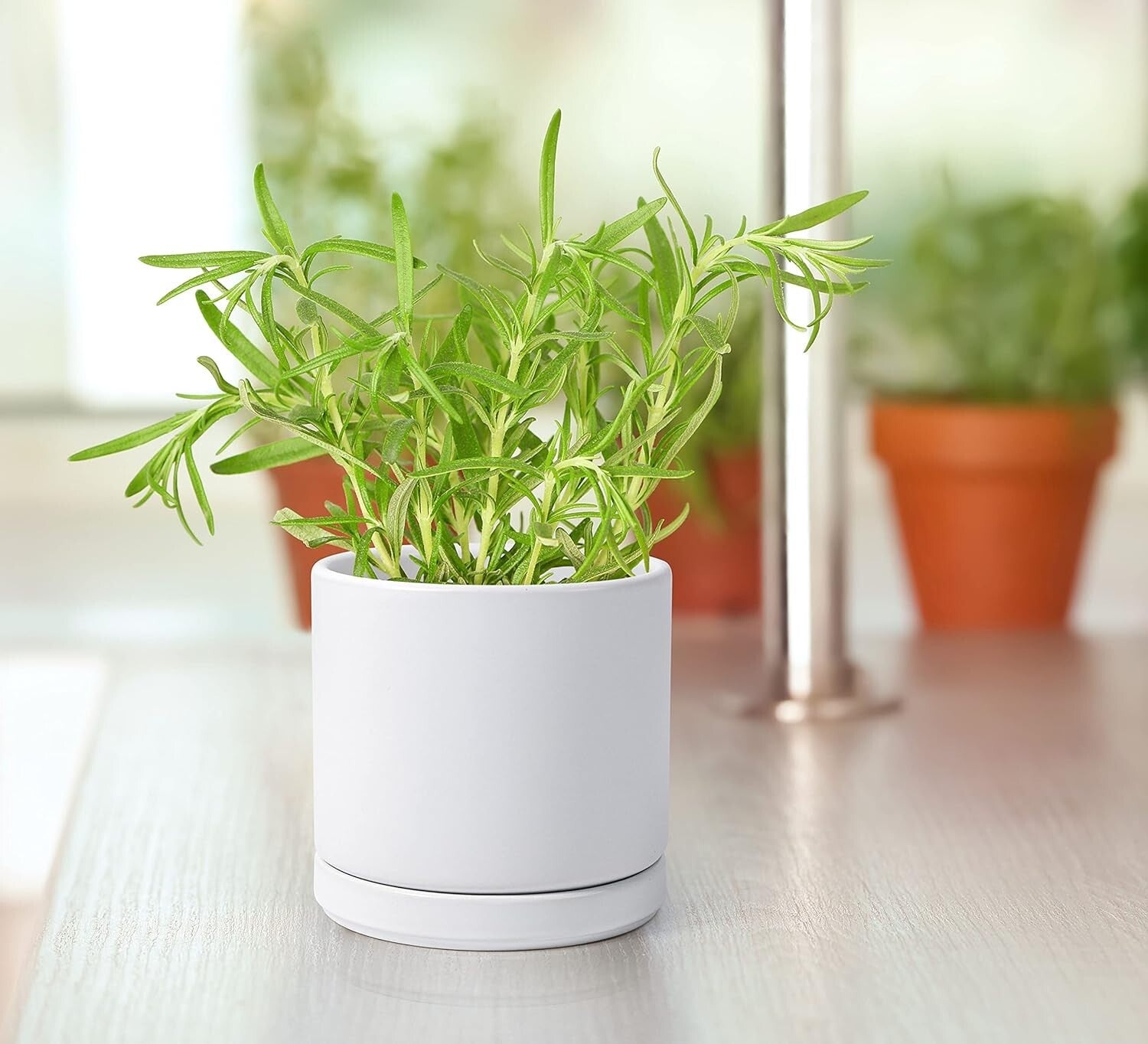 Lightweight White Ceramic Plant Pots with Saucer - Ideal for Indoor Plants