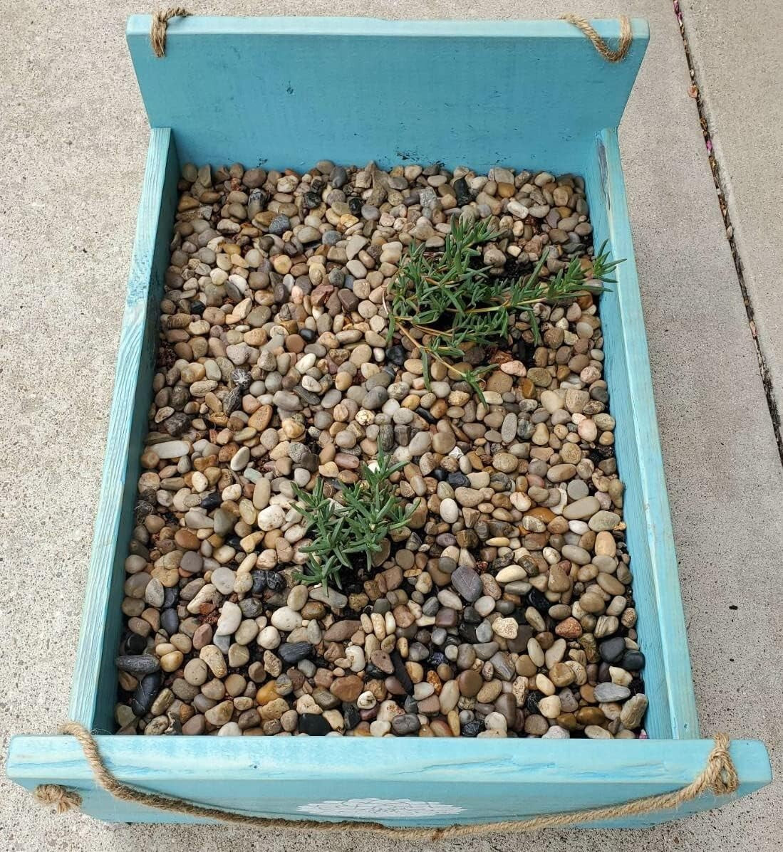 40 LBS Natural River Rock Stones – Decorative Polished Pebbles for Landscaping