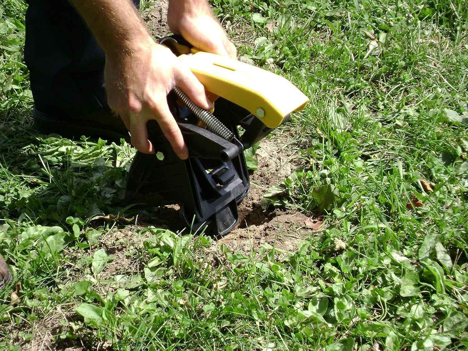 Pack of 2 BioSafe Mole Traps - Effective, Easy-to-Use Mole Removal Solution