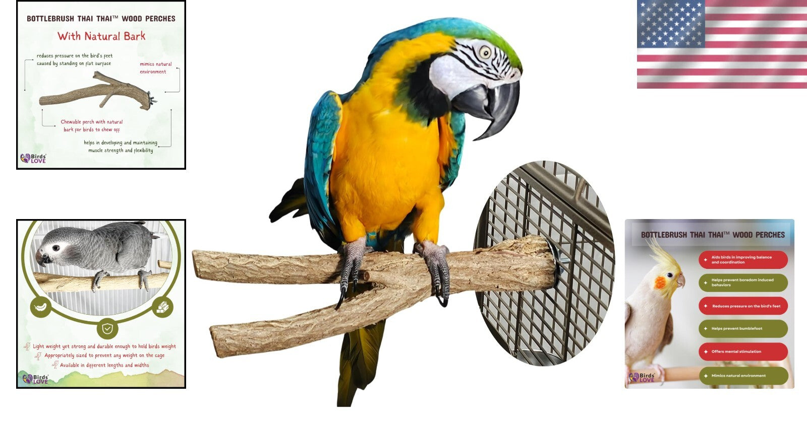 Large Natural Wood Bird Perches for Macaws & Large Parrots – Eco-Friendly Stands