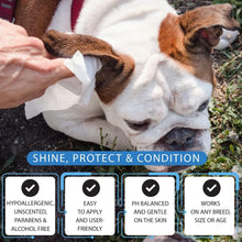 Load image into Gallery viewer, Natural Moist Dog Wipes with Vitamin E - 600 Unscented Grooming Wipes for Pets