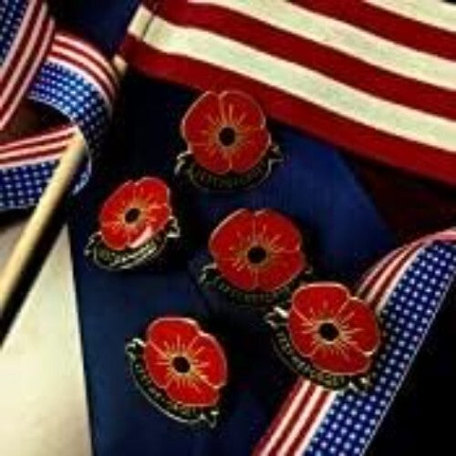 Bulk Poppy Flower Pins – Beautiful Memorial Day Accessories, 10 to 200 Pack