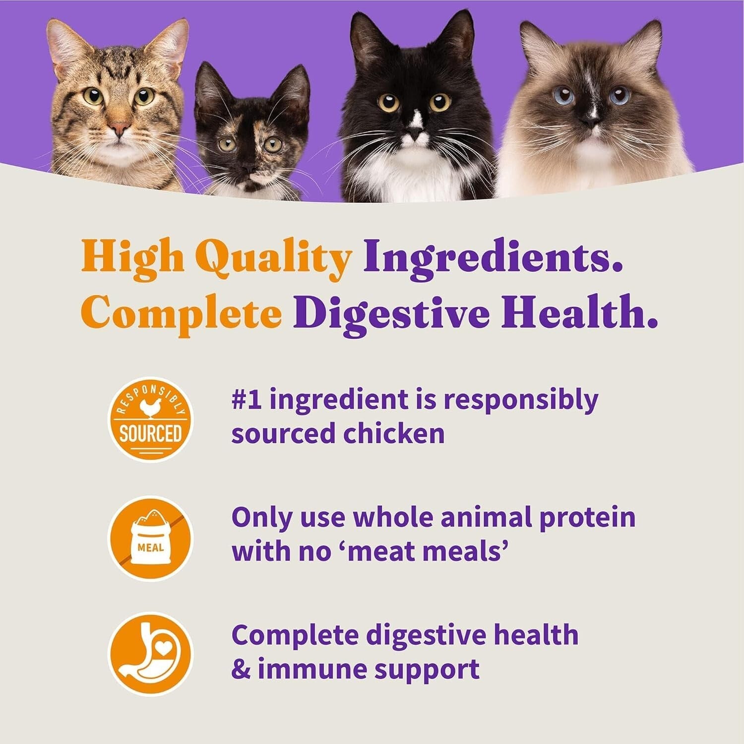 Premium Grain-Free Dry Cat Food with Added Vitamins - 10 lb for Optimal Health
