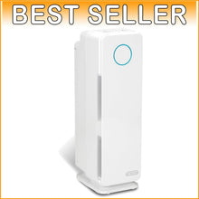 Load image into Gallery viewer, High-Efficiency H13 HEPA Pet Air Purifier - Removes Dander, Dust, and Odors