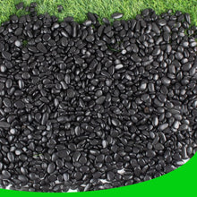 Load image into Gallery viewer, Commercial Grade Polished Black River Rocks for Plants &amp; Aquariums - 18lb