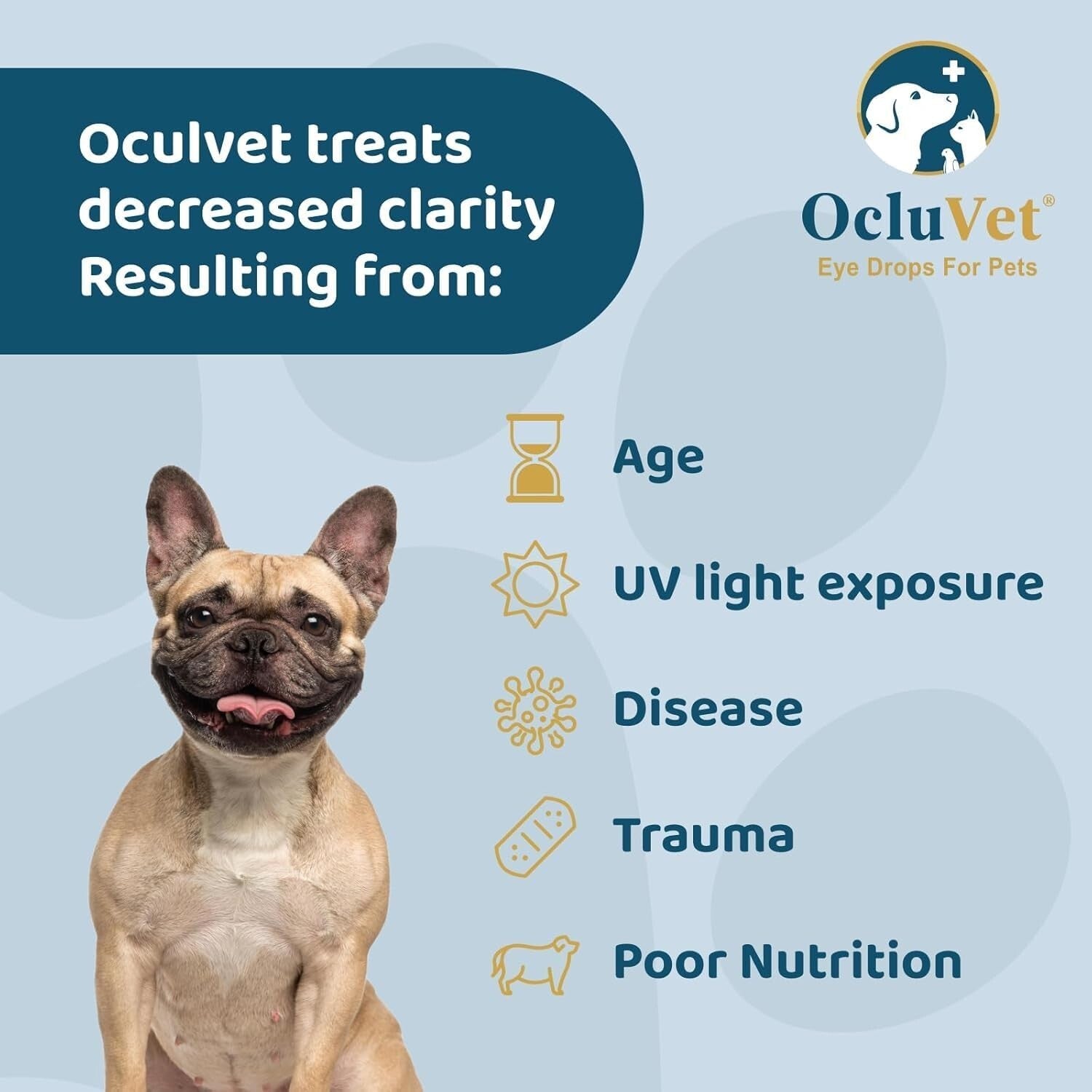 Superior Eye Health for Pets with Antioxidants | 16mL N-Acetyl-L-Carnosine Drops