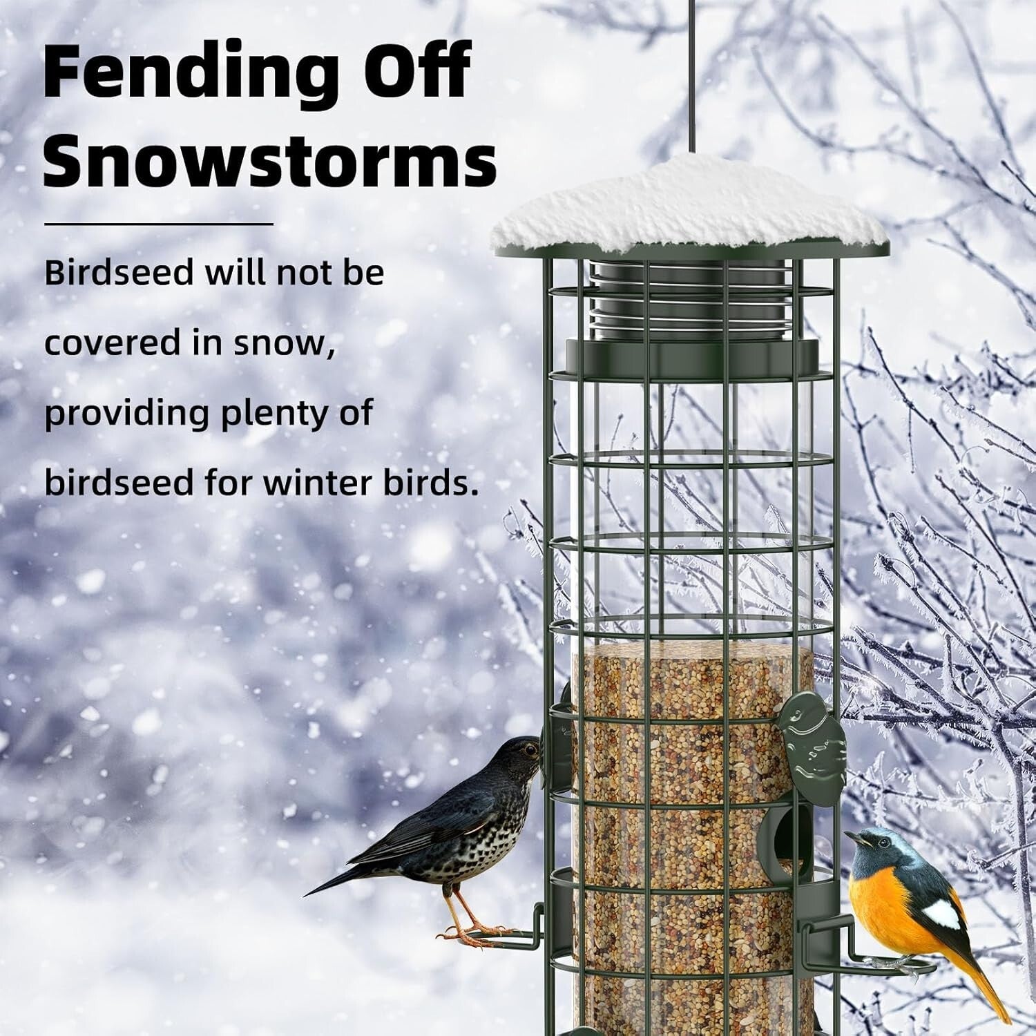 Garden Essential: Squirrel Proof Bird Feeder for Finch, Cardinal & Chickadee