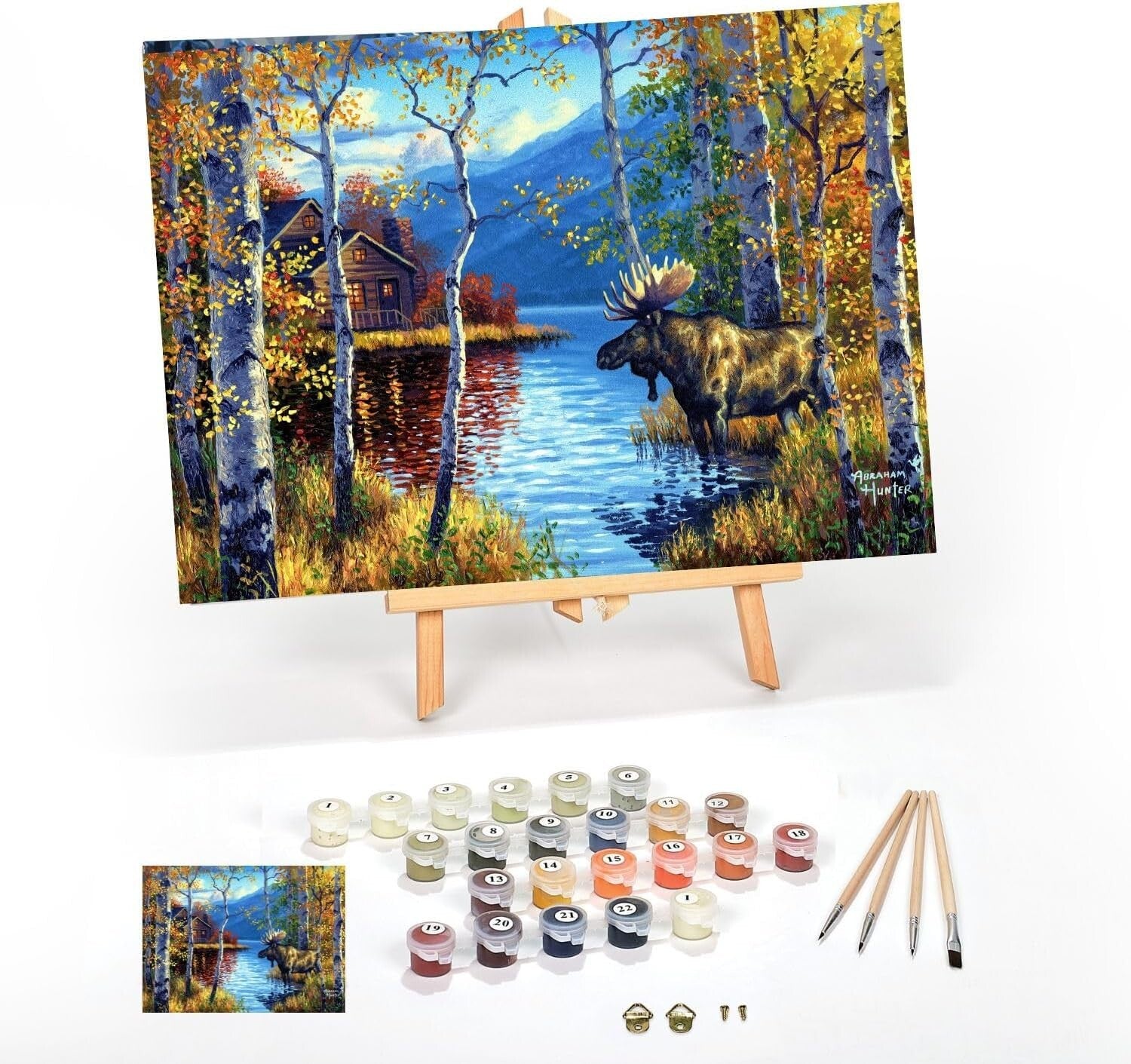 Relaxing Paint by Numbers Kit for Adults - Includes Everything for Your Canvas