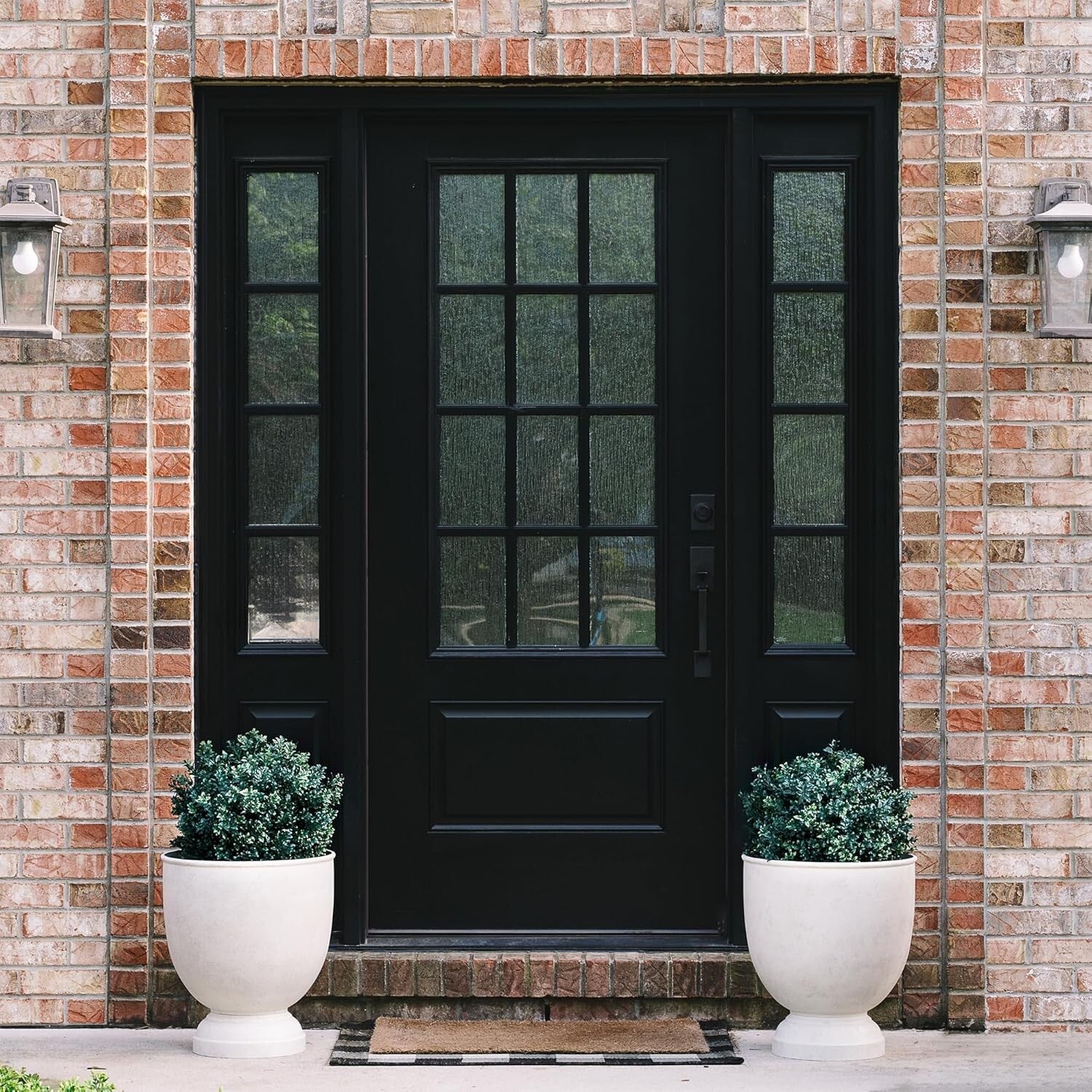 Decorative Pre-Potted Boxwood Topiary Set - 24-Inch Elegance for All Seasons