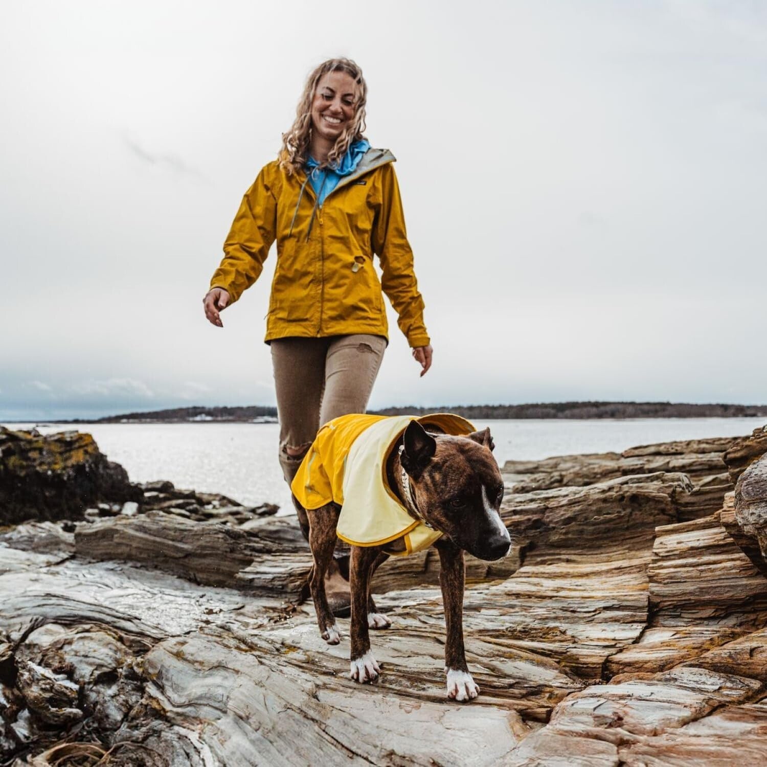 Lightweight Windproof Dog Jacket with Reflective Trim - Small Mineral Yellow