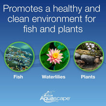 Load image into Gallery viewer, Versatile Pond Aeration System - 2-Outlets, Easy Maintenance for Water Gardens