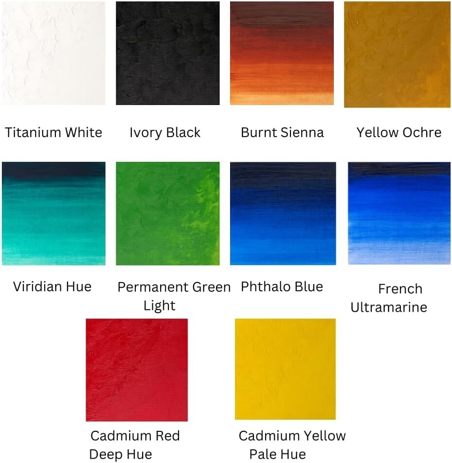 Winton Oil Paints - 10 x 1.25oz Bottles for Creative Expression, Great Coverage