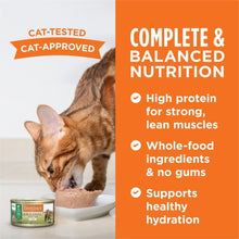 Load image into Gallery viewer, High Protein Grain-Free Cat Food - Original Lamb Pate, Pack of 24 Cans per 3 oz