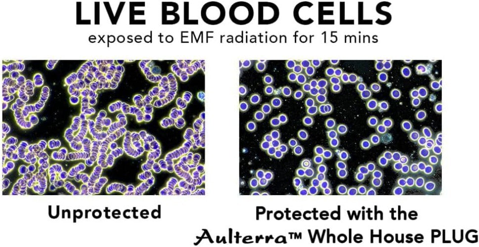Innovative EMF Protection Plug - Neutralizes 5G Effects, No Installation Needed