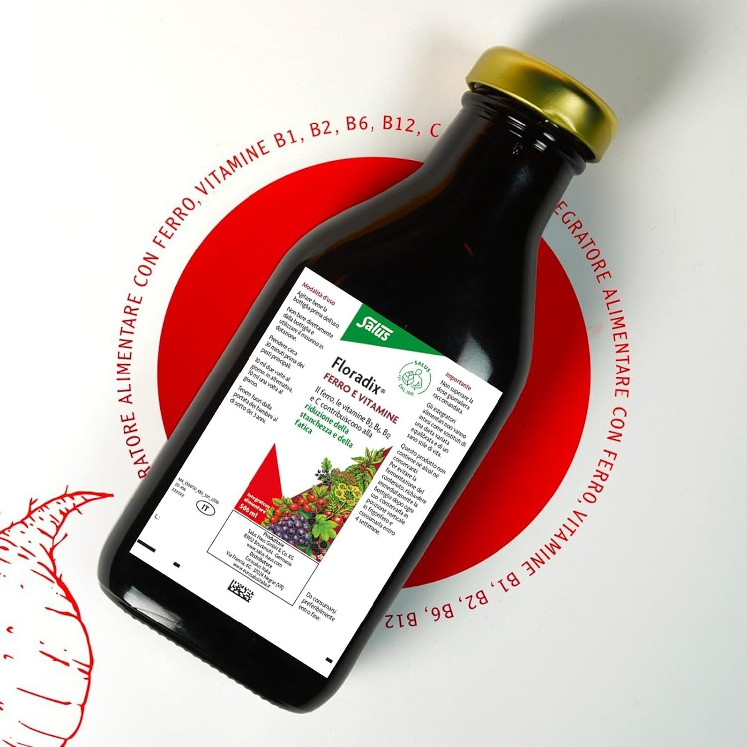 Floradix Iron + Herbs – Convenient 500 ML for Energy Boost & Healthy Metabolism