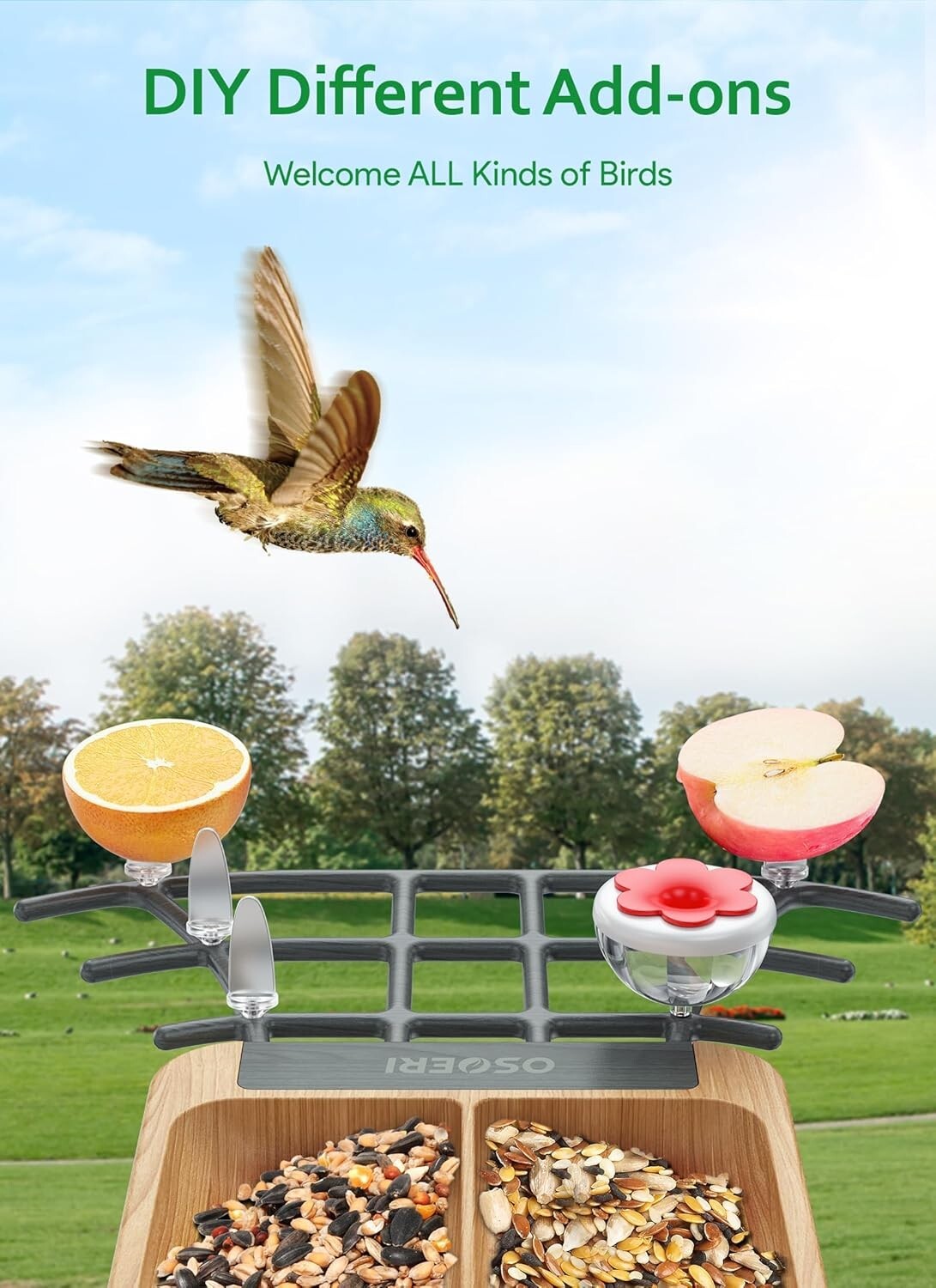 Dual-Bin Bird Feeder with Camera - Solar Powered, Weather Resistant, DIY Options