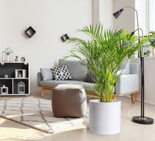 Load image into Gallery viewer, Elegant 14 Inch Cylindrical Plastic Planters with Drainage Holes &amp; Saucer Set