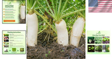 Load image into Gallery viewer, Drought Tolerant 10 lbs. Daikon Radish Seeds - Improve Soil &amp; Grow Fresh Veggies