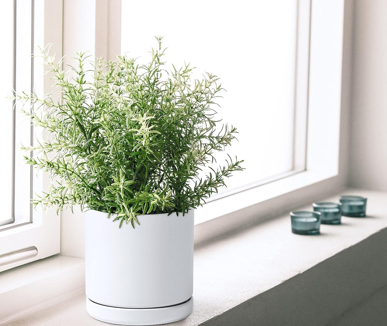 Durable Set of 2 Glazed Ceramic 8-Inch Planters with Drainage Accessories