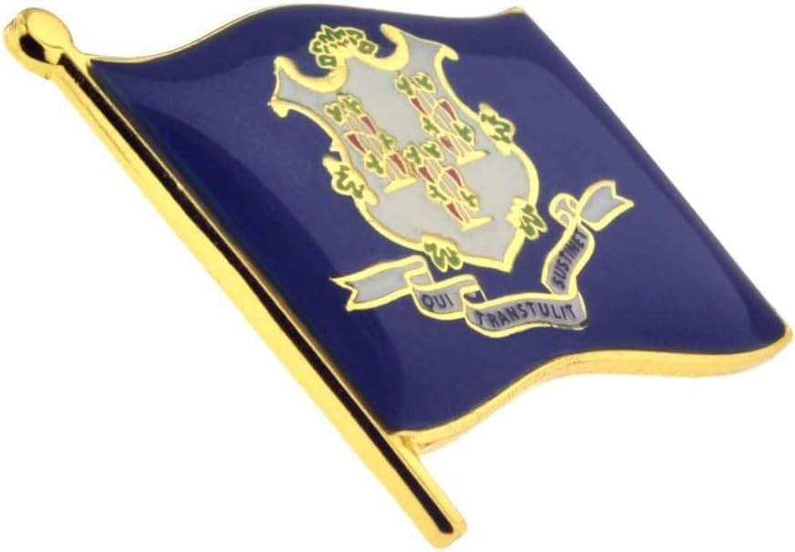Complete Collection of Gold-Plated State Shape Enamel Lapel Pins – 50 Pack