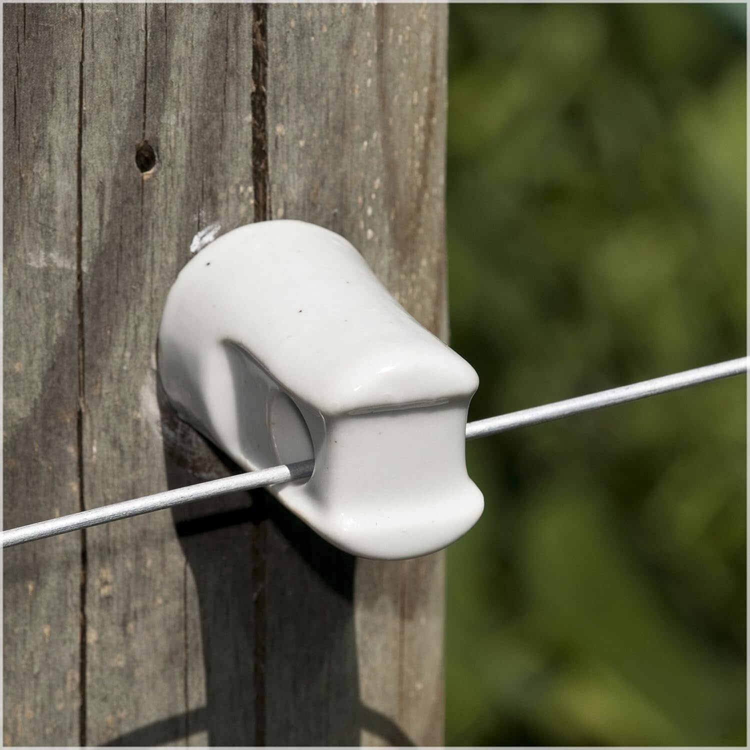 Lifetime Quality Ceramic Lag Insulators - 25 Pack for Electric Fencing