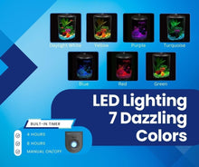 Load image into Gallery viewer, Compact 2-Gallon LED Fish Tank with Power Filter - Ideal for Betta &amp; Guppies