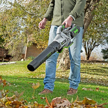 Load image into Gallery viewer, 650 CFM Variable-Speed Cordless Leaf Blower with Battery and Charger Included