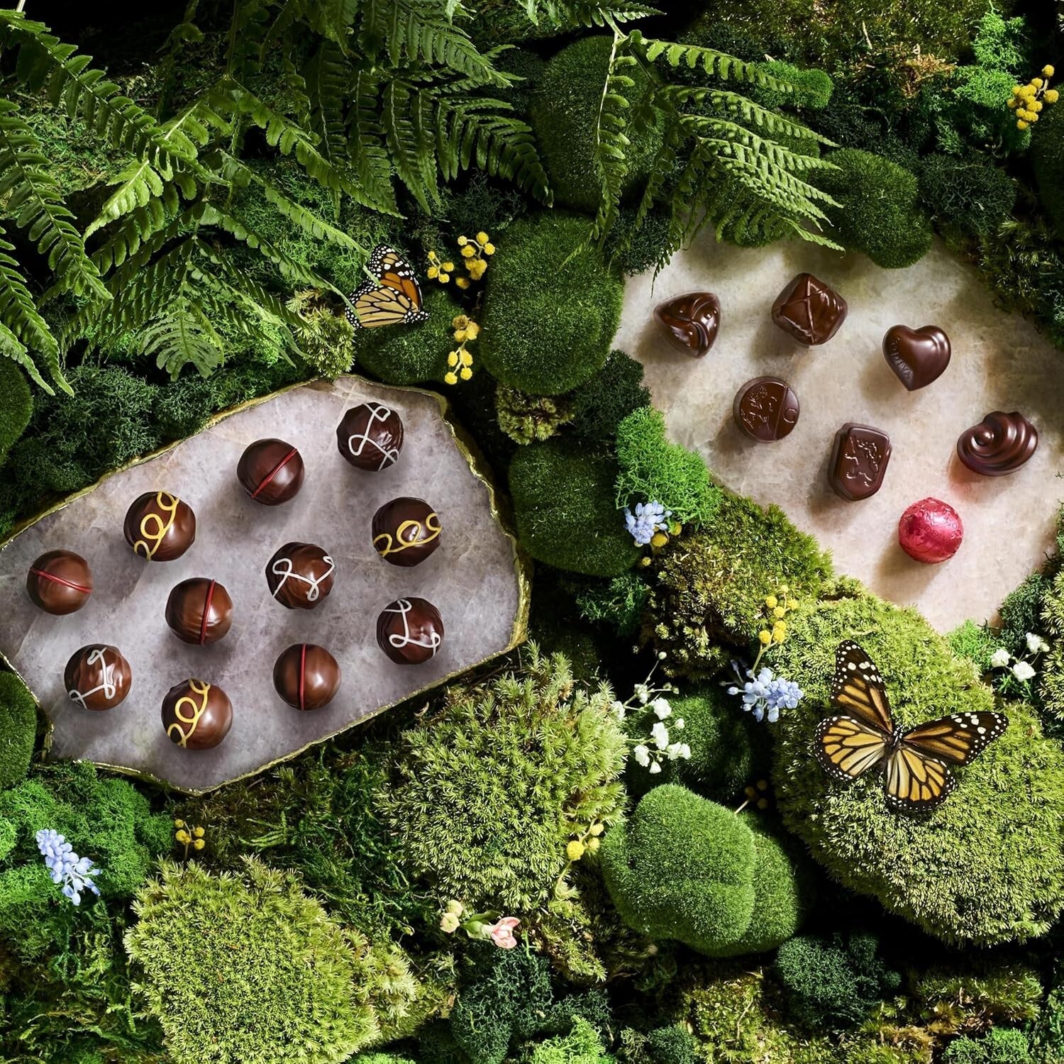 Exquisite Belgian Dark Chocolate Truffles Gift Box - 12 Assorted Delights