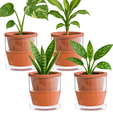 Load image into Gallery viewer, Handcrafted 4-Inch Self-Watering Planter Set with Terracotta Pots and Glass Cups