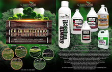 Load image into Gallery viewer, Natural Seaweed Fertilizer - 1 Gallon Kelp Concentrate for Optimal Plant Growth