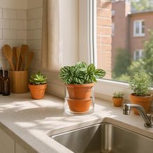 Load image into Gallery viewer, Handcrafted 4-Inch Self-Watering Planter Set with Terracotta Pots and Glass Cups