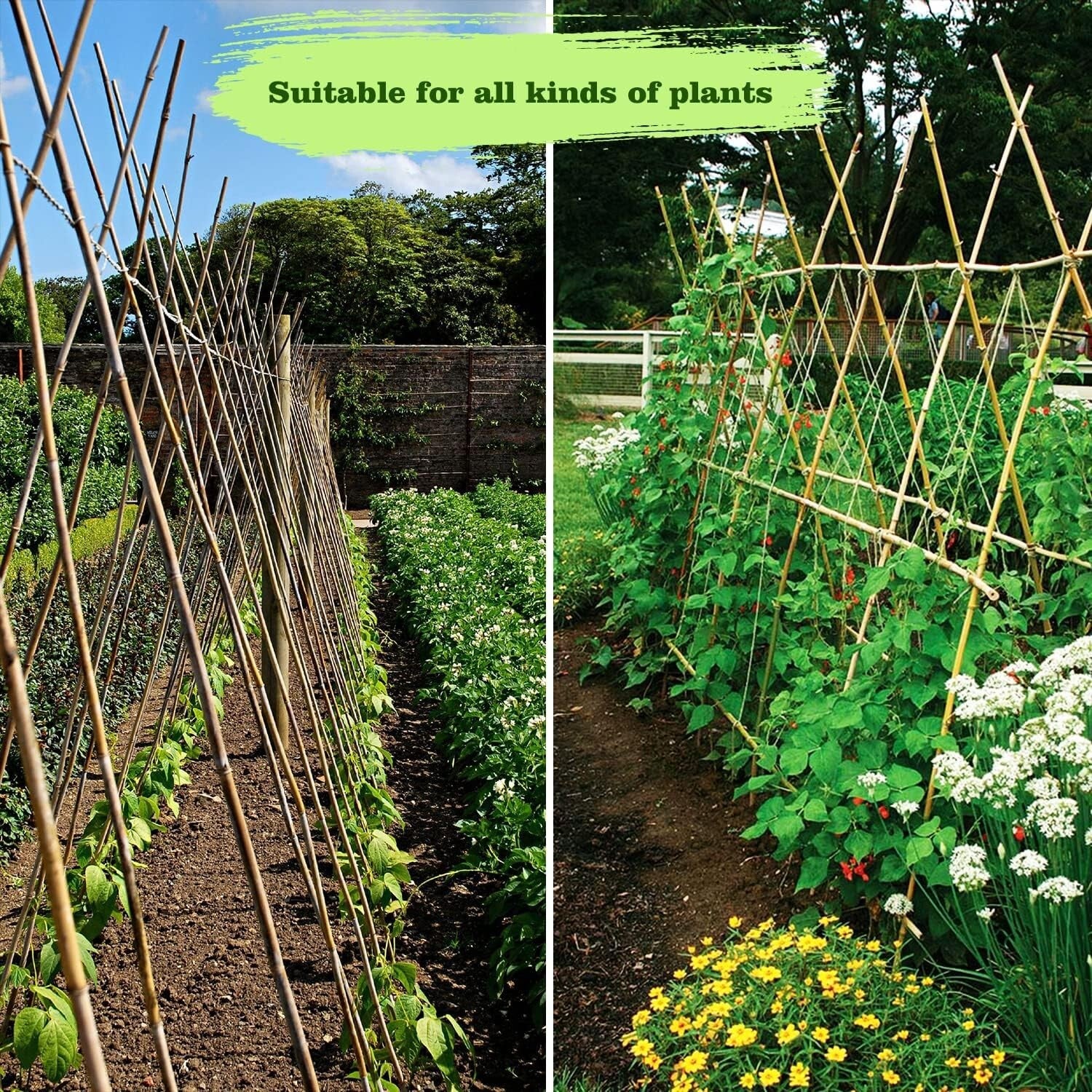 Versatile 20-Pack 6FT Bamboo Stakes for Strong Support & Garden Organization