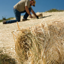 Load image into Gallery viewer, Contractor-Grade 4' x 50' Biodegradable Grass Seed Blanket for Erosion Control