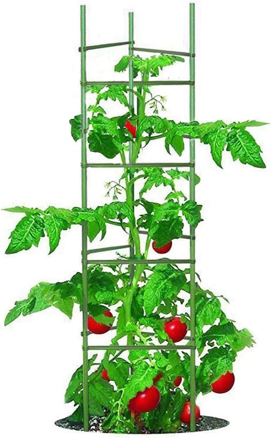 Heavy-Duty 5ft Tomato Cages - Includes 40 Clips for Optimal Garden Support