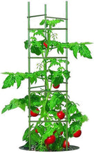 Load image into Gallery viewer, Heavy-Duty 5ft Tomato Cages - Includes 40 Clips for Optimal Garden Support