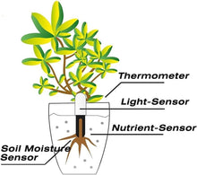 Load image into Gallery viewer, Smart Plant Monitor with Soil Moisture, Light, Temp &amp; Fertility Sensors - 2 Pack