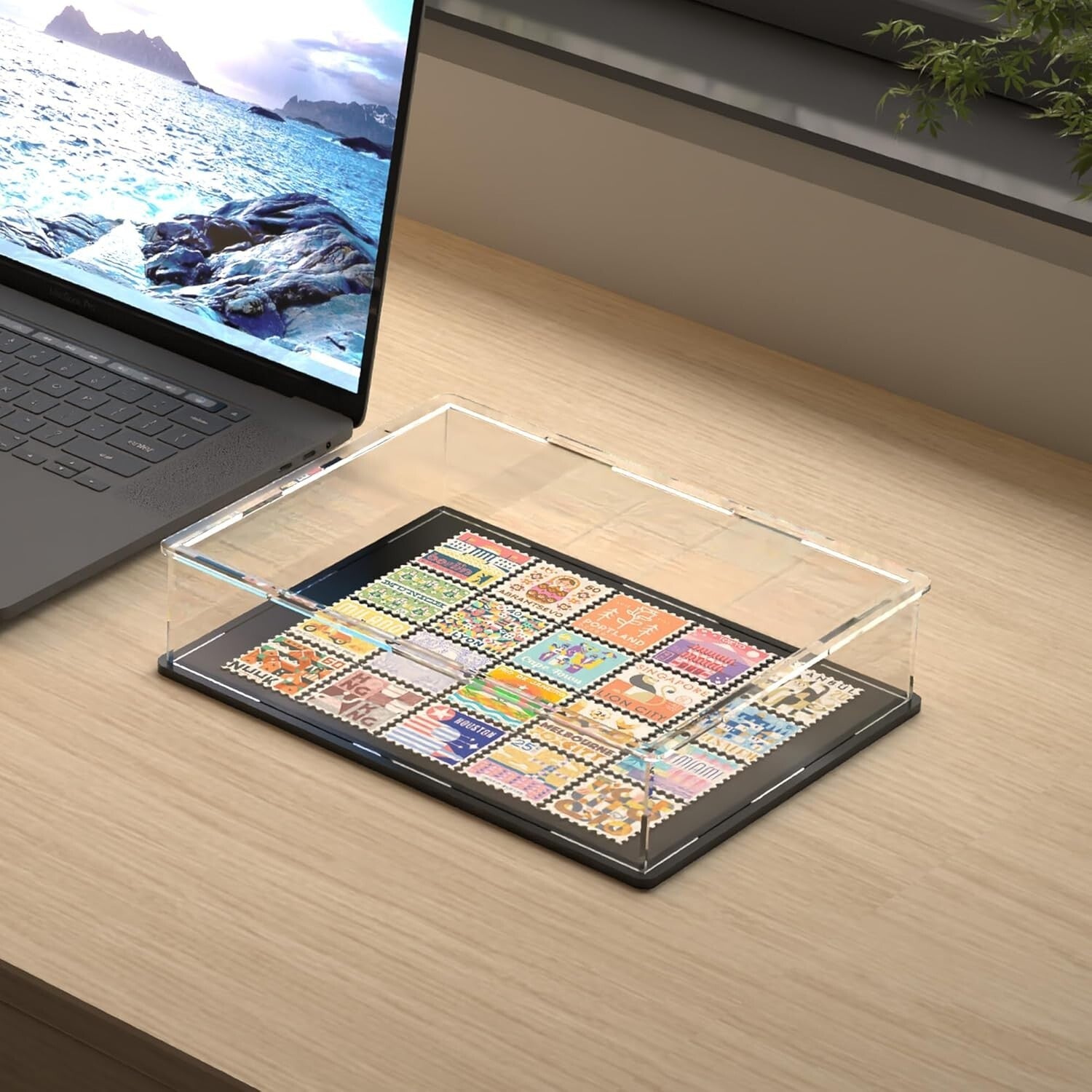 Clear Acrylic Display Box (14.5" x 11" x 4") for Coins, Cards, and Collectibles