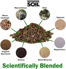 Load image into Gallery viewer, 250 Count Organic Coco Coir Seed Pellets - Ideal for Home &amp; Professional Growers